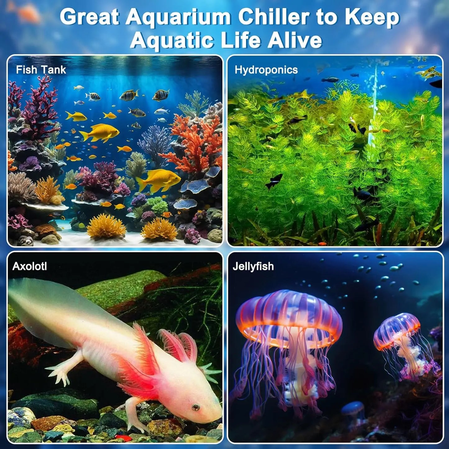 Aquarium Chiller for Fish Tank 79Gal Hydroponic Water Chiller 1/3HP Axolotl Cooler with Remote Control Pump Pipe Pet Products