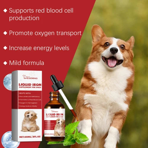 Yegbong Dog Syrup Pampers Pet Dogs With Gentle Ingredients To Help Absorb Care Supplements