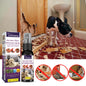 Natural Plant Extracts Bitter Pet Anti-chewing Spray Drives Away Dogs and Cats From Scratching and Biting the Sofa Spray