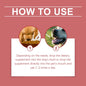 Yegbong Dog Syrup Pampers Pet Dogs With Gentle Ingredients To Help Absorb Care Supplements