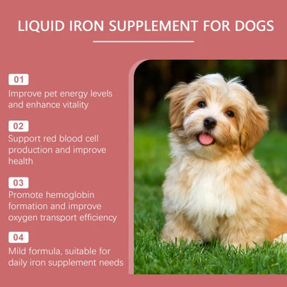 Yegbong Dog Syrup Pampers Pet Dogs With Gentle Ingredients To Help Absorb Care Supplements