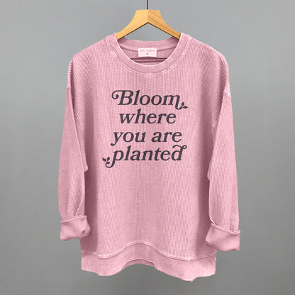 Bloom Where You Are Planted