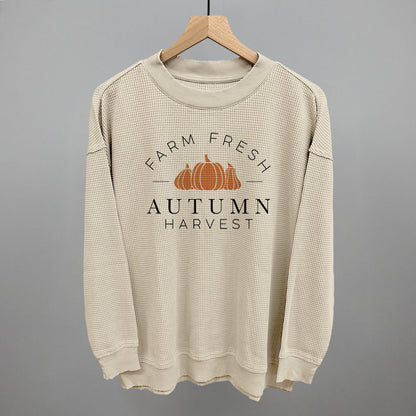 Autumn Harvest